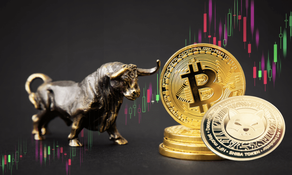 Bitcoin Bull Run Predicted for 2024: How RCO Finance Plans to Capitalize on the Altcoin Season